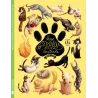 Breve Gatopedia Ilustrada