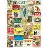 Póster 50x70 cm Carteles de Gatos
