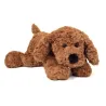 Perro Labrador Marron