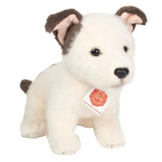 Peluche Cachorro Russell