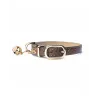 Collar Gato Pogona Marrón