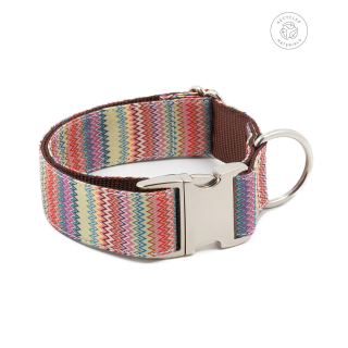 Collar para Perro Llavaneres