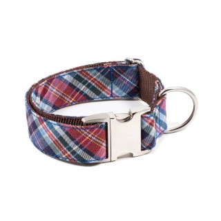 Collar para Perro Gosol