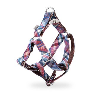 Arnés para Perros Gosol