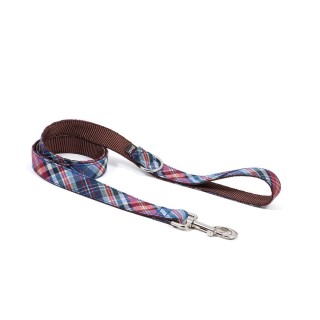 Correa para Perros Gosol