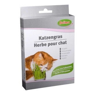 Hierba para gatos 100gr