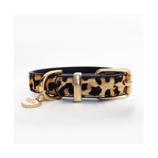 Collar para Perros Leopard