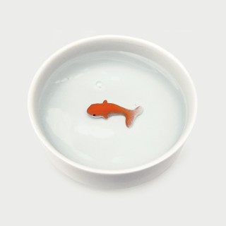 Bebederos para Gatos con Pez