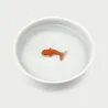 Bebederos para Gatos con Pez