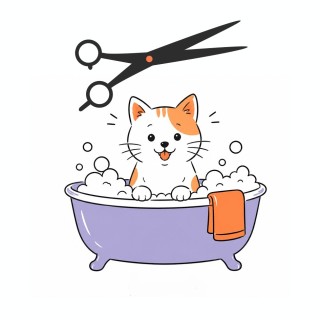 Corte y baño para gatos en Las Palmas | Coolpaws