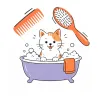 Baño y arreglo para gatos en Las Palmas | Coolpaws