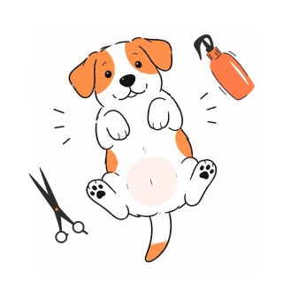 Recorte higiénico para perro en Las Palmas | Coolpaws