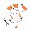 Recorte higiénico para perro en Las Palmas | Coolpaws