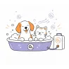 Ozonoterapia para perros y gatos en Las Palmas | Coolpaws