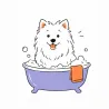 Baño para perro de pelo largo en Las Palmas | Coolpaws