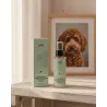 Acondicionador desenredante sin aclarado para perros - Smooth Over 100ml