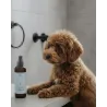 Bruma protectora para perros Walk it Out 250ml