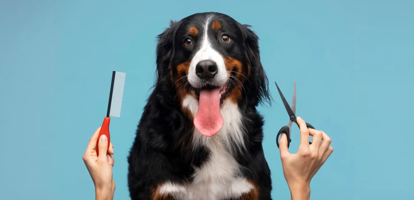 Two women in striped dresses